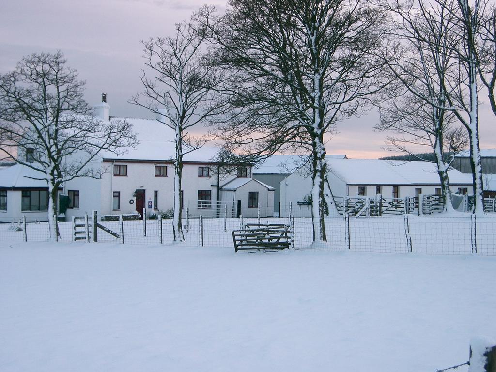 Bee Cottage Farm Guest House Consett Exterior foto